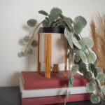 How to create a plant stand from an empty paint can